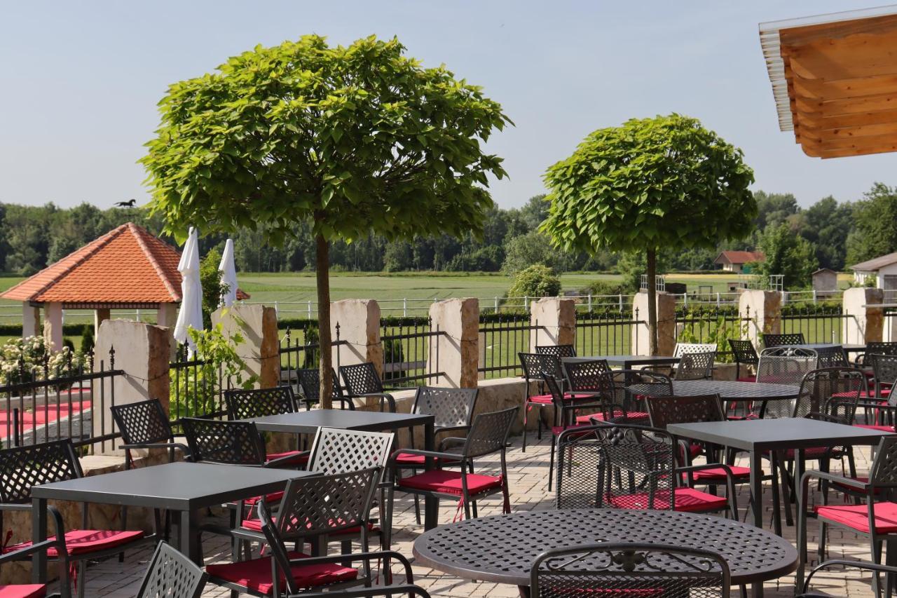 Affittacamere Landsteakhaus Marxheim